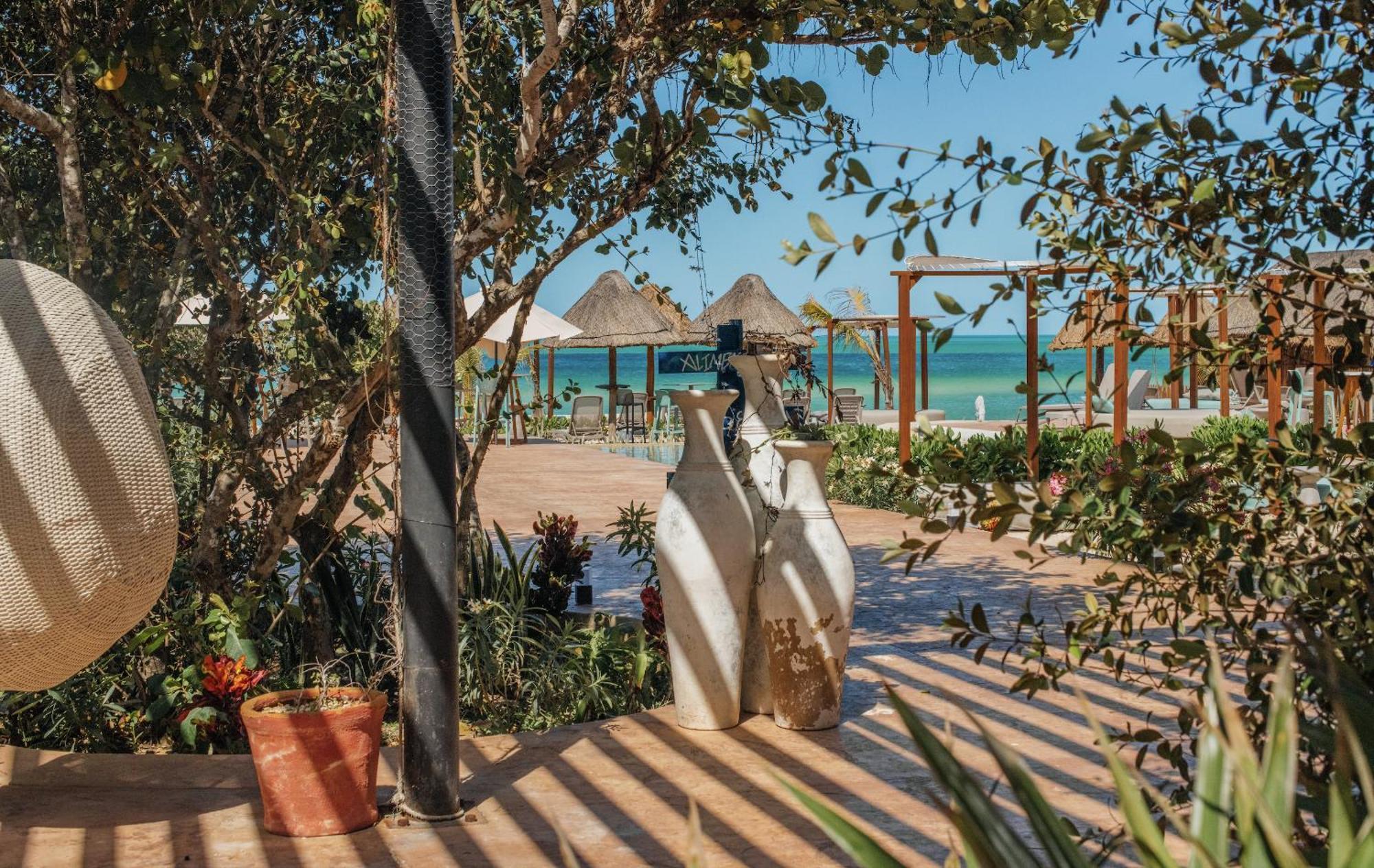 Totem Beach Club Celestun Esterno foto